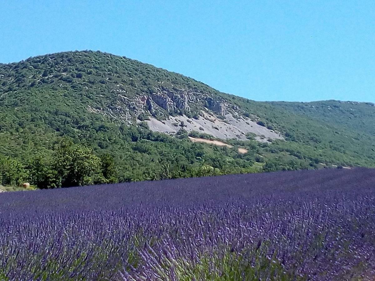 Gite La Fleur D'Olivier Nyons Exterior photo