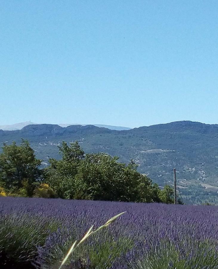 Gite La Fleur D'Olivier Nyons Exterior photo
